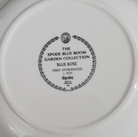 Spode Blue Room Garden Collection Bowl 8.25" Black Yellow White - Picture 11 of 11